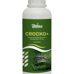 Crocko Plus