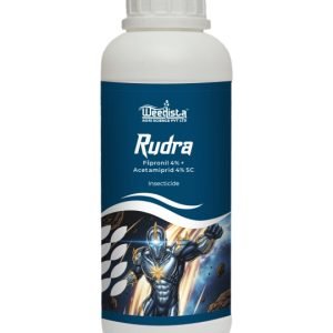 Rudra