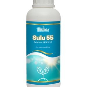 Sulu 55