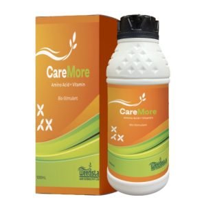 Caremore