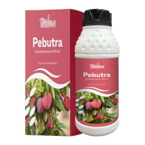 Pebutra