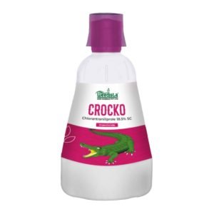 Crocko