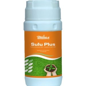 Sulu Plus