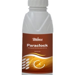 Paraclock