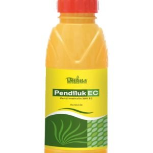 Pendiluk EC