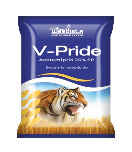 V-Pride