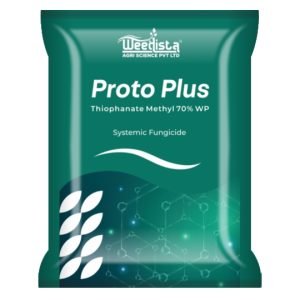 Proto Plus