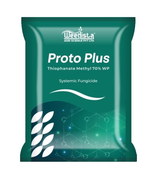 Proto Plus