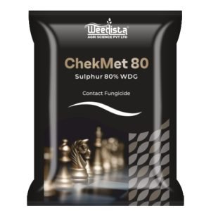 Chekmet-80